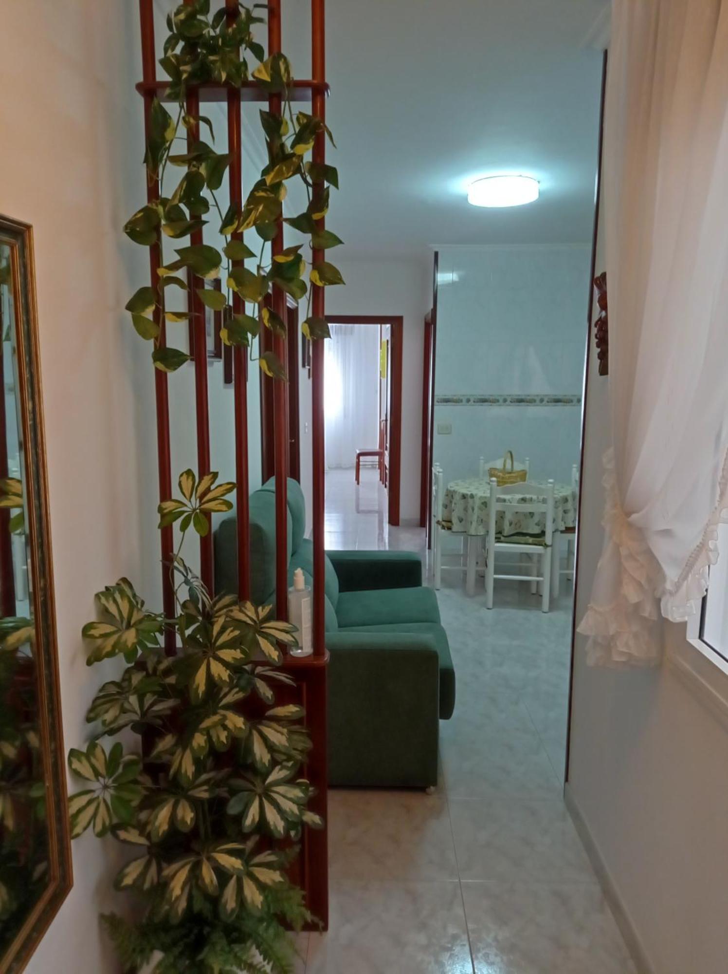 דירות או גרובה Acogedor Apartamento Centrico מראה חיצוני תמונה